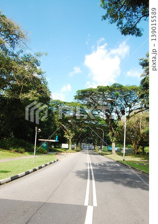 Beautiful Singapore Surroundings Beautiful Singapore Surroundings 139015589