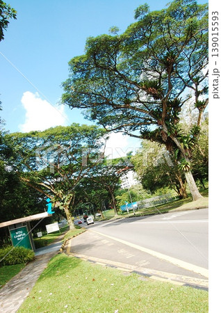 Beautiful Singapore Surroundings Beautiful Singapore Surroundings 139015593