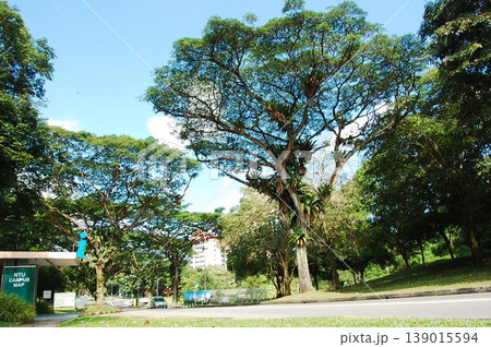 Beautiful Singapore Surroundings Beautiful Singapore Surroundings 139015594