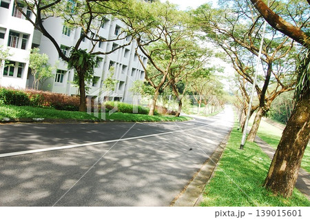 Beautiful Singapore Surroundings Beautiful Singapore Surroundings 139015601