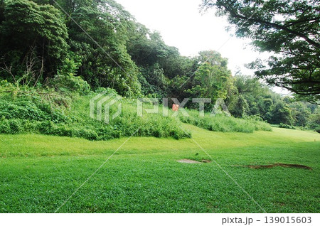 Beautiful Singapore Surroundings 139015603