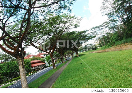 Beautiful Singapore Surroundings 139015606