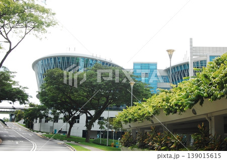 Beautiful Singapore Surroundings 139015615