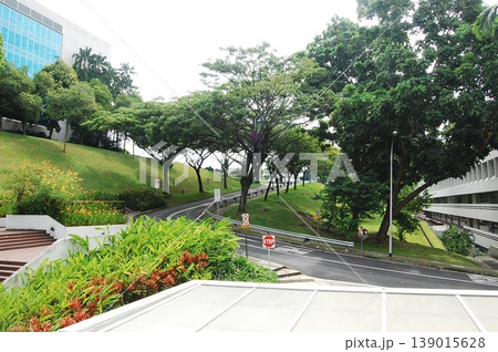 Beautiful Singapore Surroundings Beautiful Singapore Surroundings 139015628