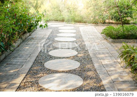 Walkway and bush in garden. Also called concrete pavement, floor, passage, path, footpath, pathway or passageway. Include natural plant, lawn and grass. For walking along and decorative park, garden. 139016079