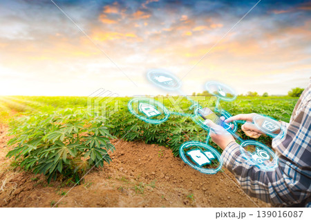 Asian male farmer working in cassava tree farm To collect data to study. Innovation technology for Develop farms to improve production efficiency. smartphone with intelligent farm management systems. Asian male farmer working in cassava tree farm To collect data to study. Innovation technology for Develop farms to improve production efficiency. smartphone with intelligent farm management systems. 139016087