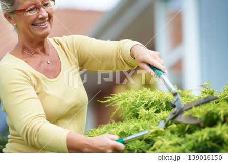 Senior, happy woman and outdoors with shears in garden by landscaping of nature, plant or greenery. Elderly person, wrinkles and glasses with smile for tool, trim and hedge in retirement with care Senior, happy woman and outdoors with shears in garden by landscaping of nature, plant or greenery. Elderly person, wrinkles and glasses with smile for tool, trim and hedge in retirement with care 139016150