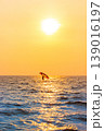 A lone windsurfer glides across the ocean under a glowing golden sunset. 139016197