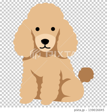 dog, dogs, puppy 139016845