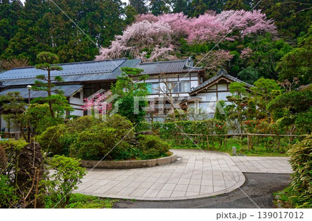 庭園　正宗山瑞鳳寺　伊達家の菩提寺 139017012