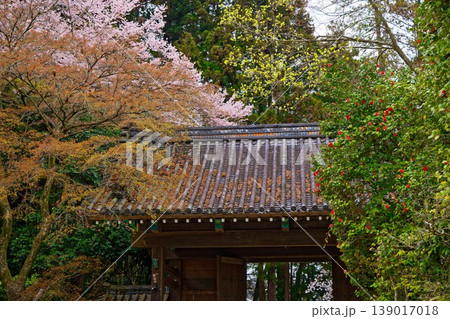 正宗山瑞鳳寺 伊達家の菩提寺 正宗山瑞鳳寺 伊達家の菩提寺 139017018