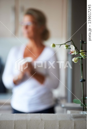 Senior, woman and young picture for nostalgia memory or old life thinking, time pass or thoughts. Female person, retirement and photo of childhood for remembering daydreaming, aged pensioner in home Senior, woman and young picture for nostalgia memory or old life thinking, time pass or thoughts. Female person, retirement and photo of childhood for remembering daydreaming, aged pensioner in home 139017245