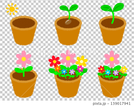 盆栽植物、植物和花卉插圖集 4 139017941