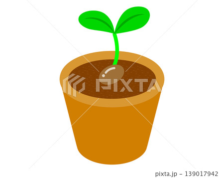 鉢植えと植物のイラスト素材 139017942
