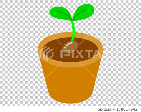 鉢植えと植物のイラスト素材 139017942
