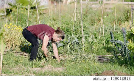 Man gardening in a community urban farm Man gardening in a community urban farm 139018918