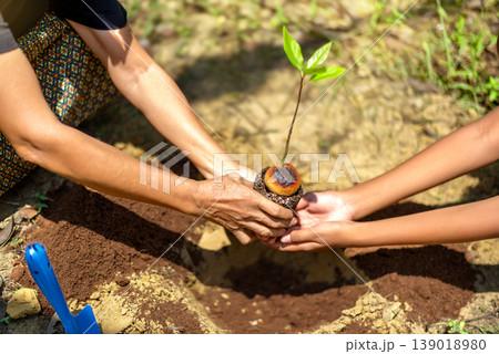 Close-up of Adult and Young Child Hands Planting a Tree Together Close-up of Adult and Young Child Hands Planting a Tree Together 139018980
