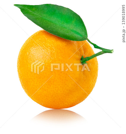 Single tangerine fruit with leaf. Fresh mandarin fruit with green leaf on white background. Clementine citrus fruit. Single tangerine fruit with leaf. Fresh mandarin fruit with green leaf on white background. Clementine citrus fruit. 139018995