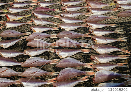Texture or background of Striped Red Mullet, sun-dried for one day on an outdoor net. 139019202