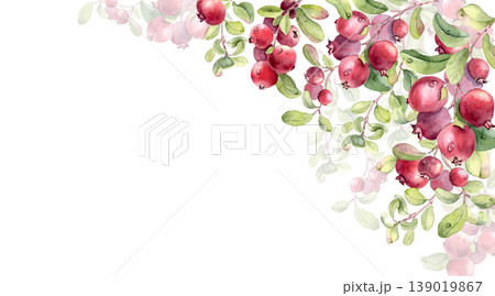 Watercolor corner border with red northern berry and leaves isolated on white. Fresh ripe cranberry and lingonberry on branches drawing. Hand drawn botanical illustration for greeting card design. 139019867