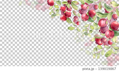 Watercolor corner border with red northern berry and leaves isolated on white. Fresh ripe cranberry and lingonberry on branches drawing. Hand drawn botanical illustration for greeting card design. 139019867