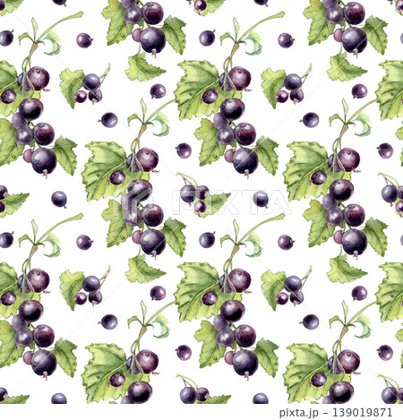 Watercolor seamless pattern with blackcurrant berries on branch and green leaves isolated white. Garden fruits hand drawn. Botanical illustration for fabric print, wrapping paper, and harvest design. Watercolor seamless pattern with blackcurrant berries on branch and green leaves isolated white. Garden fruits hand drawn. Botanical illustration for fabric print, wrapping paper, and harvest design. 139019871