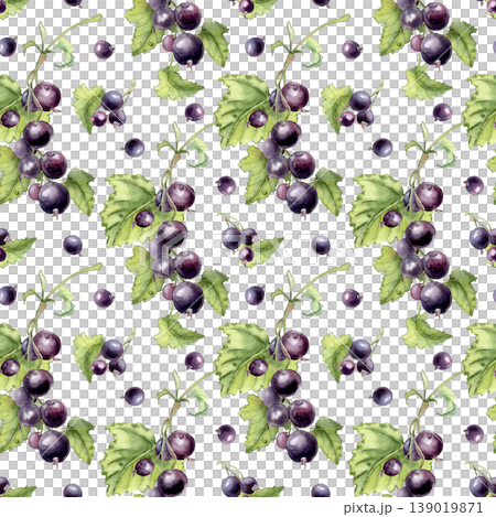 Watercolor seamless pattern with blackcurrant berries on branch and green leaves isolated white. Garden fruits hand drawn. Botanical illustration for fabric print, wrapping paper, and harvest design. Watercolor seamless pattern with blackcurrant berries on branch and green leaves isolated white. Garden fruits hand drawn. Botanical illustration for fabric print, wrapping paper, and harvest design. 139019871