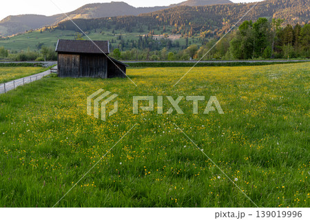 Alpine meadow with wooden barn and mountain landscape in Bavaria Germany Alpine meadow with wooden barn and mountain landscape in Bavaria Germany 139019996