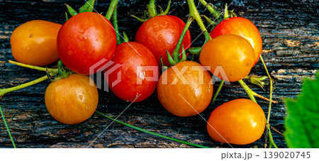 Ripe red tomatoes with droplets on an old grunge board. Rustic still life with scarlet vegetables, fresh stems and weathered wood texture. Contrast of juicy harvest and aged background. Ripe red tomatoes with droplets on an old grunge board. Rustic still life with scarlet vegetables, fresh stems and weathered wood texture. Contrast of juicy harvest and aged background. 139020745