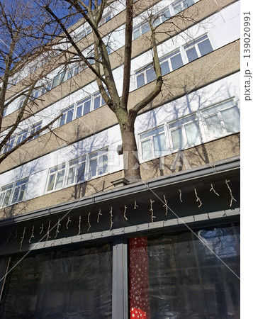 A tree grows through the side of a building in an urban area. The branches and trunk are part of the architectural design. This supports a blend of nature and city life. 139020991