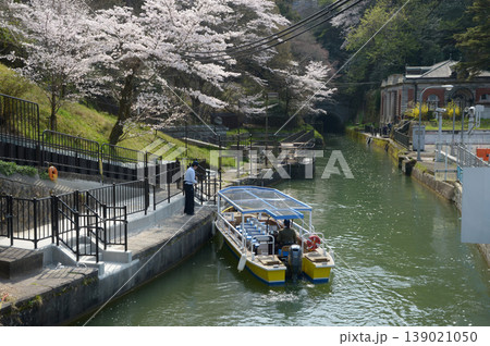 春の琵琶湖疏水 びわ湖疏水船 京都市左京区 春の琵琶湖疏水 びわ湖疏水船 京都市左京区 139021050