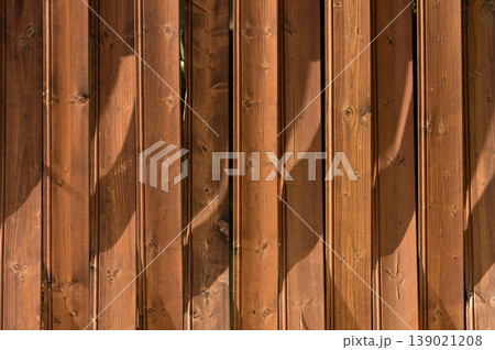 Shadows play across a wooden fence in the warm afternoon light of a serene backyard setting 139021208