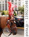 Charming Urban Depiction With Elaborately Adorned Horse And Vibrant City Life Atmosphere. New York 139021646