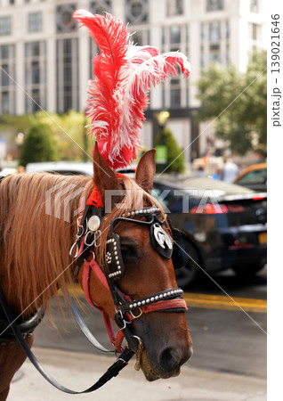 Charming Urban Depiction With Elaborately Adorned Horse And Vibrant City Life Atmosphere. New York Charming Urban Depiction With Elaborately Adorned Horse And Vibrant City Life Atmosphere. New York 139021646