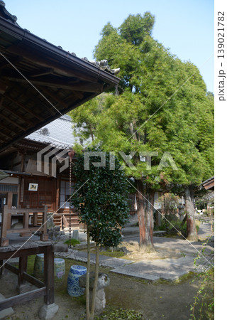 春の岩屋寺　本堂　京都市山科区西野山桜ノ馬場町 139021782