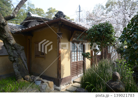 春の岩屋寺　茶室　京都市山科区西野山桜ノ馬場町 139021783