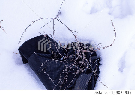 Pieces Of European Stickseed Stuck To A Bag 139021935