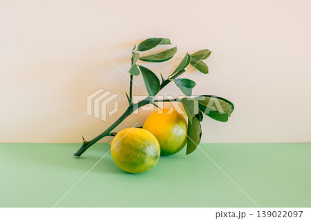 Beautiful branch with two yellow lemons on a green background. Minimal concept. 139022097