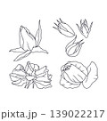 Hand drawn black and white line art rose flowers set isolated clip art 139022217