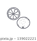 Hand drawn line art orange icon vector illustration. Doodle citrus fruit clipart 139022221