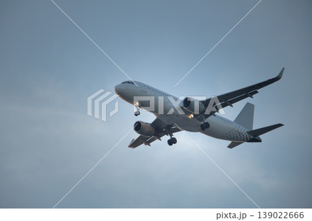 Front angled view of a commercial airplane descending with landing gear and lights visible, set against a muted cloudy sky, illustrating aviation operations and modern air transport systems. 139022666