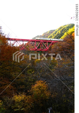 JR釜石線 鬼ヶ沢橋梁 139022693