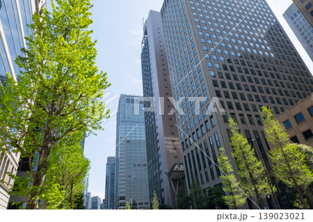 高層ビルを見上げるオフィス街の風景 高層ビルを見上げるオフィス街の風景 139023021