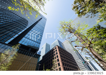 緑のあるオフィス街の風景 緑のあるオフィス街の風景 139023025