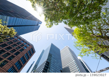 高層ビルを見上げるオフィス街の風景 高層ビルを見上げるオフィス街の風景 139023027