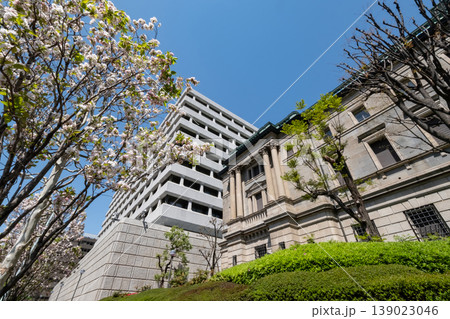 桜と日本銀行 桜と日本銀行 139023046