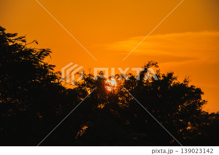 Bright orange sunset glows behind dense tree silhouettes, creating a dramatic and warm natural scene with strong contrast and a peaceful evening atmosphere in an outdoor setting. Bright orange sunset glows behind dense tree silhouettes, creating a dramatic and warm natural scene with strong contrast and a peaceful evening atmosphere in an outdoor setting. 139023142