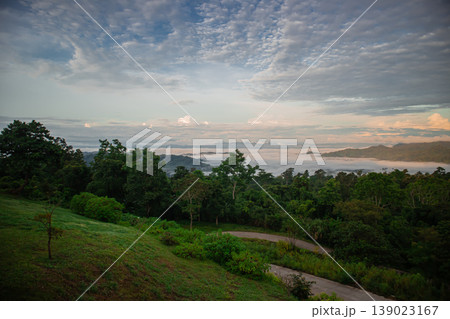 Panoramic mountain landscape with sea of fog and dramatic cloudy sky at sunrise. Lush tropical forest valley view with peaceful nature atmosphere and travel destination concept. 139023167
