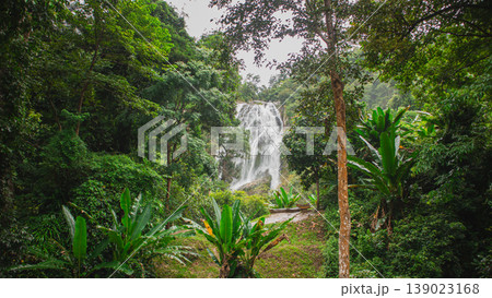 Majestic tropical waterfall flowing through lush green rainforest jungle. Scenic natural landscape with rich foliage and peaceful atmosphere, ideal for travel and nature themes. 139023168