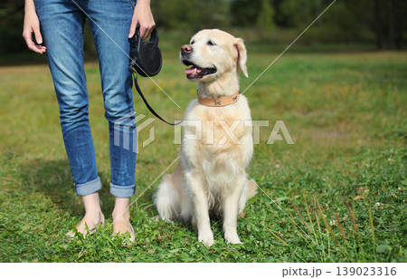 Owner woman walking with her Golden Retriever dog on leash in summer park 139023316